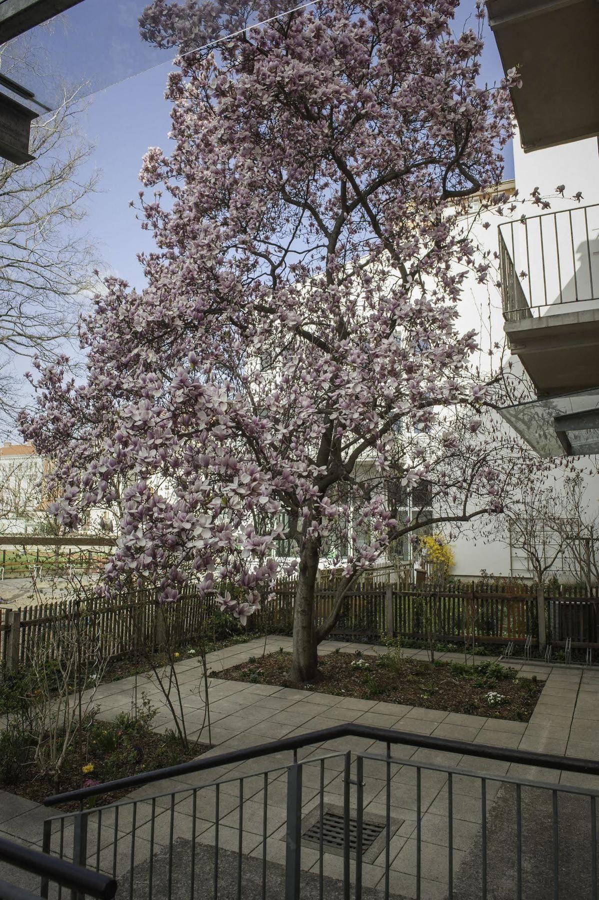 Haus Mobene - Hotel Garni Грац Екстер'єр фото